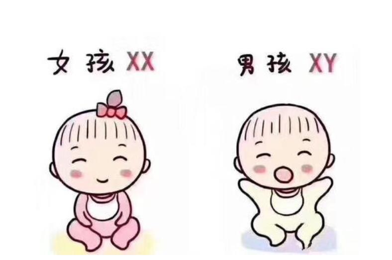 经期女性