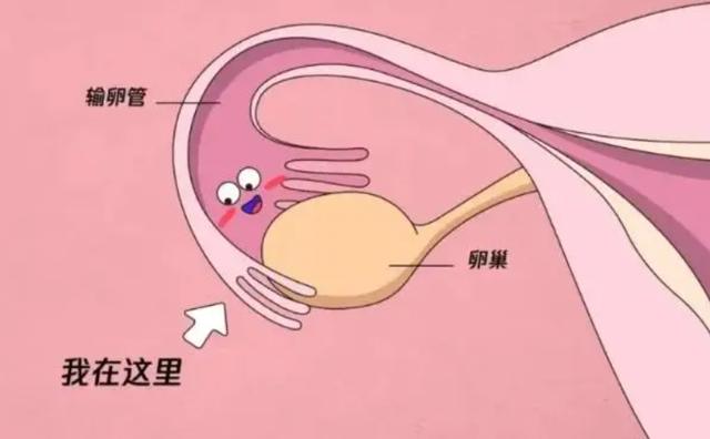 经期血块多