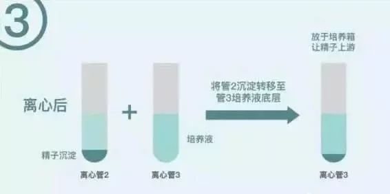 经期血块儿太多