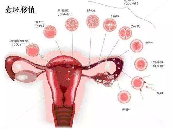 月经血块