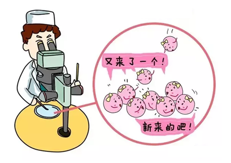 经期饮酒