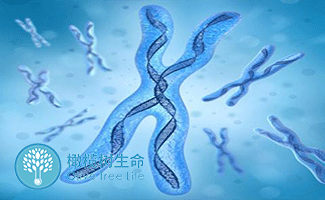 咖啡
